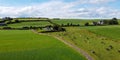 A herd of cows on a fenced green pasture in Ireland, top view. Organic Irish farm. Cattle grazing on a grass field, landscape. Royalty Free Stock Photo