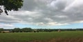 Rural idyll with cattle