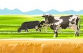 A herd of cows grazes among the rural hills. Pastures. Meadows and wheat fields. Rustic village landscape. Farm work Royalty Free Stock Photo