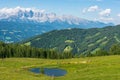 A herd of cows grazing in an alpine meadow with a small pond. In the background the Dachstein massif, Upper Austria Royalty Free Stock Photo