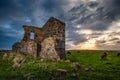 Herd of cows grazing around the Convict Barracks ruins in Stanley, Tasmania, Australia