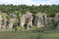 a herd of cows grazing at the base of some rocks