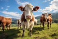 Herd of cows in a meadow on a sunny summer day, Group of cows standing in a grassy field, AI Generated Royalty Free Stock Photo