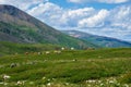 A herd of cows on a mountain pasture. Alpine cows grazing, green slope of high mountains. Group of cows in the distance on a green Royalty Free Stock Photo