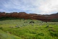 Herd of Cows And Red Rocks Royalty Free Stock Photo