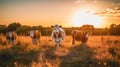 A herd of cows standing on top of a grass covered field. Generative AI image. Royalty Free Stock Photo