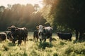 A herd of cows standing on top of a lush green field. AI generative image. Royalty Free Stock Photo