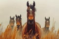 Herd of curious Thoroughbred mares. Horses in the wild Royalty Free Stock Photo