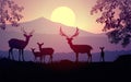 Herd of deer in the natural forest. Wild animals. Mountains horizon hills silhouettes of trees. Evening Sunrise and sunset.