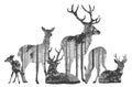 Herd of deer silhouette Royalty Free Stock Photo