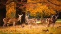 A herd of deer standing on top of a grass covered field. AI generative image. Royalty Free Stock Photo