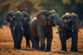 A herd of elephants Royalty Free Stock Photo