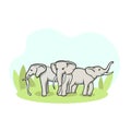 Herd of elephants in meadow. Group of wild animals stand on green pasture.