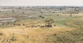 Herd of elephants in the Okavango Delta aerial view Royalty Free Stock Photo