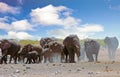 Elephant stampede causing a dust storm while walking on the dry african plains