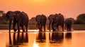 A herd of elephants walking across a river at sunset. Generative AI image. Royalty Free Stock Photo