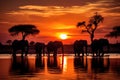 Herd of Elephants Walking Across River at Sunset, The silhouette of elephants at sunset in Chobe National Park, Botswana, Africa, Royalty Free Stock Photo