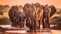 A herd of elephants walking down a dirt road. Generative AI image. Royalty Free Stock Photo