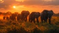 A herd of elephants walking in a line at sunset, AI Royalty Free Stock Photo