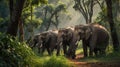 A herd of elephants walking through a sunlit forest path Royalty Free Stock Photo
