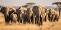 A herd of elephants walking together across the savanna, concept of Animal migration, created with Generative AI