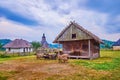 The grazing sheep herd, Cossack Village Scansen, Stetsivka, Ukraine