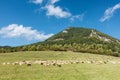 Herd of grazing sheeps under limestone hill