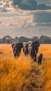 A herd of a group of elephants walking through the grass, AI Royalty Free Stock Photo