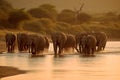 A herd group of a family of African elephants on the Savanah prairie at sunset. AI generated. Royalty Free Stock Photo