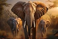 A herd group of a family of African elephants on the Savanah prairie at sunset. AI generated. Royalty Free Stock Photo