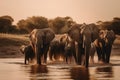 A herd group of a family of African elephants on the Savanah prairie at sunset. AI generated. Royalty Free Stock Photo