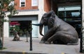 Herd of Hope bronze elephants, Spitalfields Market Royalty Free Stock Photo