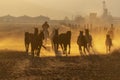 A Herd Of Horse Are Being Corralled By Mexican Horsemen At Sunrise Royalty Free Stock Photo
