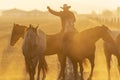 A Herd Of Horse Are Being Corralled By Mexican Horsemen At Sunrise