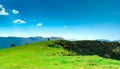 Herd of horse grazing at hill with beautiful blue sky and white clouds. Horse organic farming. Animal pasture. Landscape of green