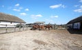 Herd of horses eating dry hay in the summer corral Royalty Free Stock Photo