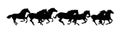 Herd of horses gallops fast. Image silhouette. Wild and domestic animals. Isolated on white background. Vector