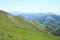 Herd of horses grazing on the green slopes of the Pyrenees mountains in summer day Royalty Free Stock Photo