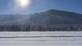 A herd of horses is grazing in a snowy valley. Royalty Free Stock Photo