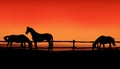 Herd of horses grazing at sunset - evening ranch vector silhouette scene Royalty Free Stock Photo