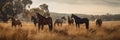 Herd of horses in the paddock at sunset banner in autumn
