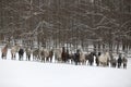 Herd of horses run across the field. A large herd of beautiful horses gallops across on pasture wintertime Royalty Free Stock Photo