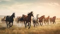 Herd of horses run gallop on the meadow at sunset Royalty Free Stock Photo