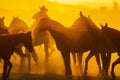 A Herd Of Horse Are Being Corralled By Mexican Horsemen At Sunrise Royalty Free Stock Photo