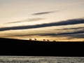 Herd of horses in the sunset, Santa Cruz, Patagonia, Argentina Royalty Free Stock Photo