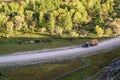 Herd of horses and a tractor with hay on the road Royalty Free Stock Photo