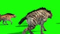 Herd of Hyenas Animals Walks Back Green Screen 3D Rendering Animation