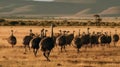 A group of ostriches running across the plain created with Generative AI