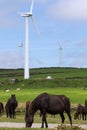 Herd of mountain ponies called `asturcones` with wind turbines in the background grazing in a summer meadow. Royalty Free Stock Photo