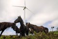 Herd of mountain ponies called `asturcones` in a windmill park. Royalty Free Stock Photo